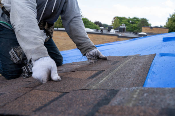 Best Roof Gutter Cleaning  in Marcellus, MI