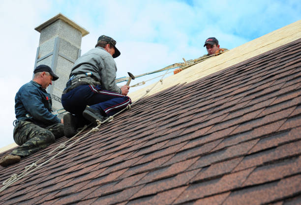 Best Local Roofing Companies  in Marcellus, MI