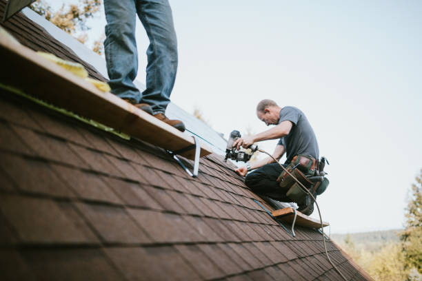 Best Sealant for Roof  in Marcellus, MI