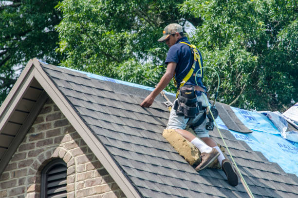 Best Roofing Contractor Near Me  in Marcellus, MI